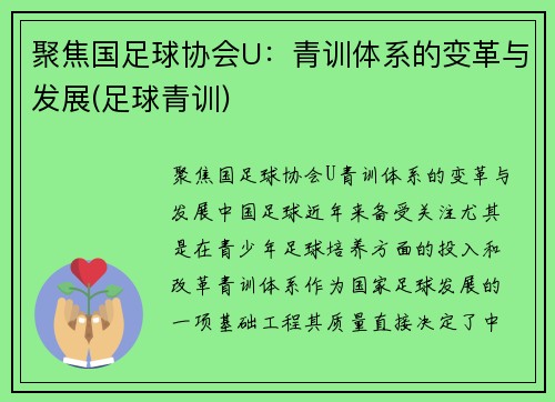 聚焦国足球协会U：青训体系的变革与发展(足球青训)